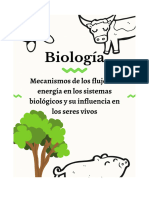 El Flujo de Energía en Los Sistemas Biológicos