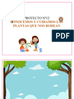 Proyecto de Aprendizaje #12 Conocemos y Cuidamos Las Plantas Que Nos Rodean