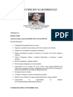 CV Javier Rivas Actualizado (2023) 2