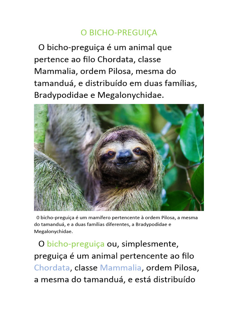 O Bicho-Preguiça | PDF