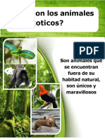Animales Exoticos Del Peru