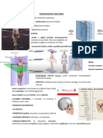 Generalidades, Frontal, Occipital y Parietal