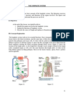 Manual Lymphatic System