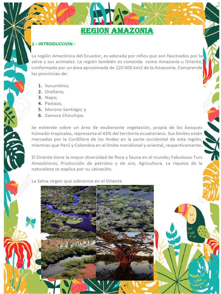 Características de la Región Amazónica | PDF | Ecuador