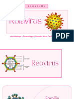 24 - ROTAVIRUS (Ceci)