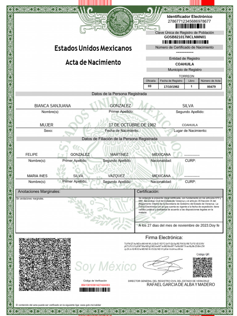 Formato de Acta de Nacimiento PDF | PDF | Gobierno y personalidad ...
