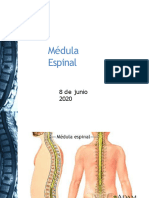 6 Cerebro - Examenes de Neuroimagen.