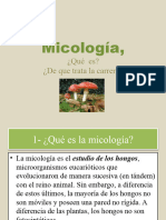Micología: El Estudio de Los Hongos.