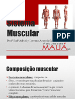 Sistema Muscular