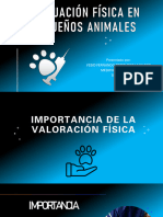 Clase 3 pdf-1