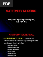 Download Maternity Nursing Lecture Presentation by api-3764215 SN6878522 doc pdf