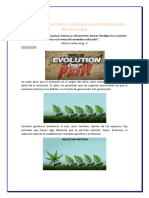 CLASE EVALUACION ANATOMIA FISIOLOGIA Y FISIOPATOLOGIA DEL DOLOR AGUDO - Marcelo Zysman