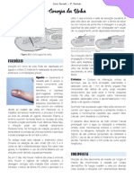 Aula 9 - Cirurgia da Unha