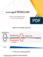 Bio Molecular Intro