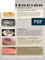 Infografía Precaución Especies Venenosas Informativa Sobria Minimalista Gri - 20231127 - 162518 - 0000