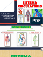 Clase06-Aparato Circulatorio