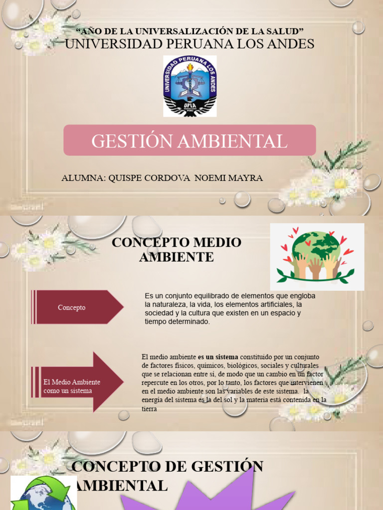 Gestión Ambiental y Leyes en Perú | PDF | Entorno natural | Contaminación