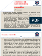 8 PPT D° de Proteccion Del Consumidor