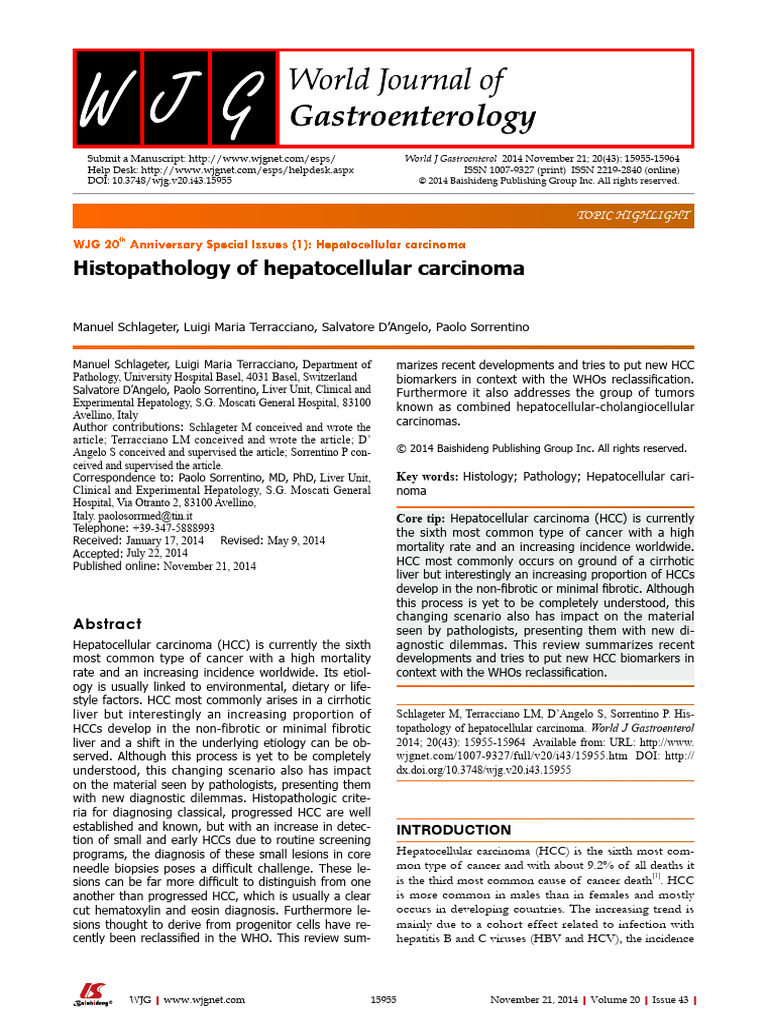 Histopathology of Hepatocellular Carcinoma | PDF | Metastasis | Adenoma