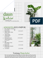 Obat Herbal Daun Kelor