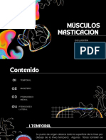 Musc. Masticación - Sory