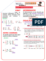 Matrices y Determinantes-Ficha