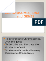 CHROMOSOMES, DNA and GENES