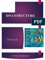 Dna Structure