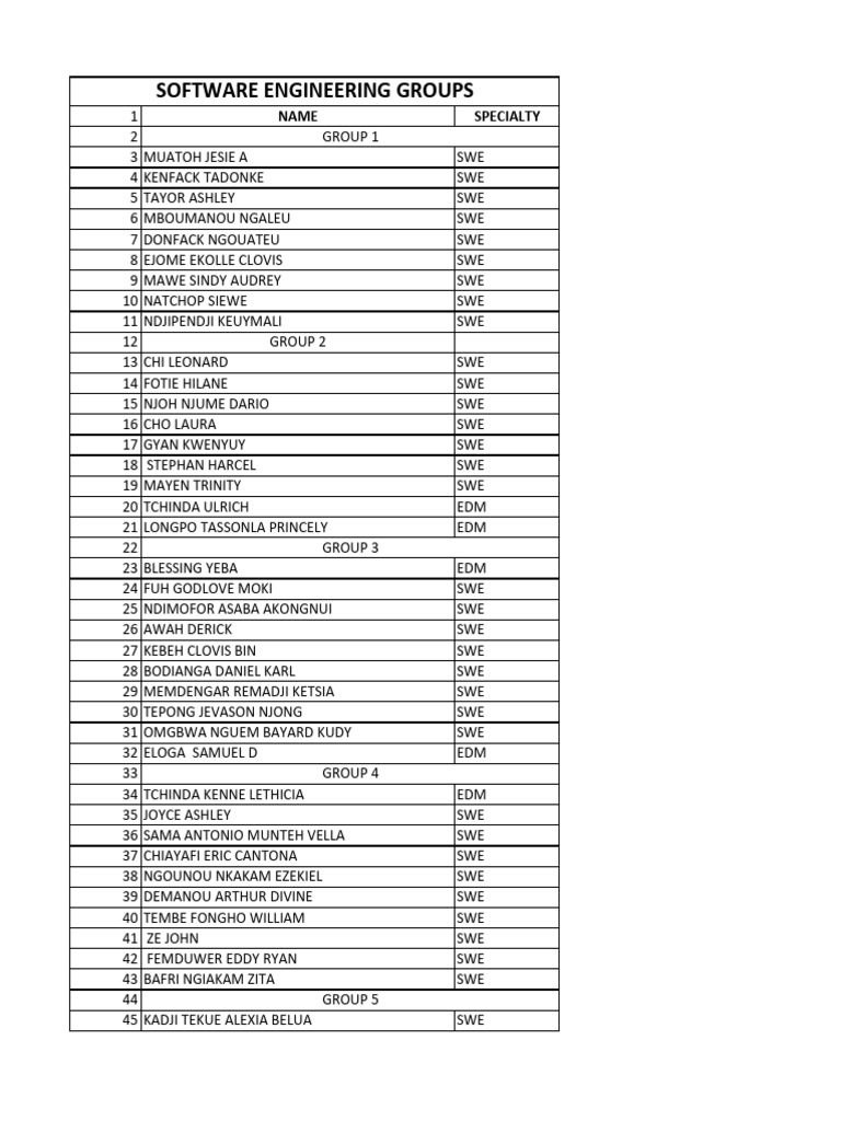 Software Engineering Group Members | PDF