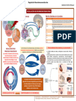 11 Regulación Neuroinmunoendocrina