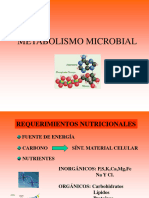 Metabolismo Microbial