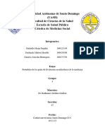 Grupo #4. Guías Evolución Sociohistorica