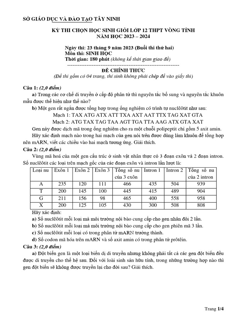 BUOI 2 - ĐỀ CHÍNH THỨC | PDF