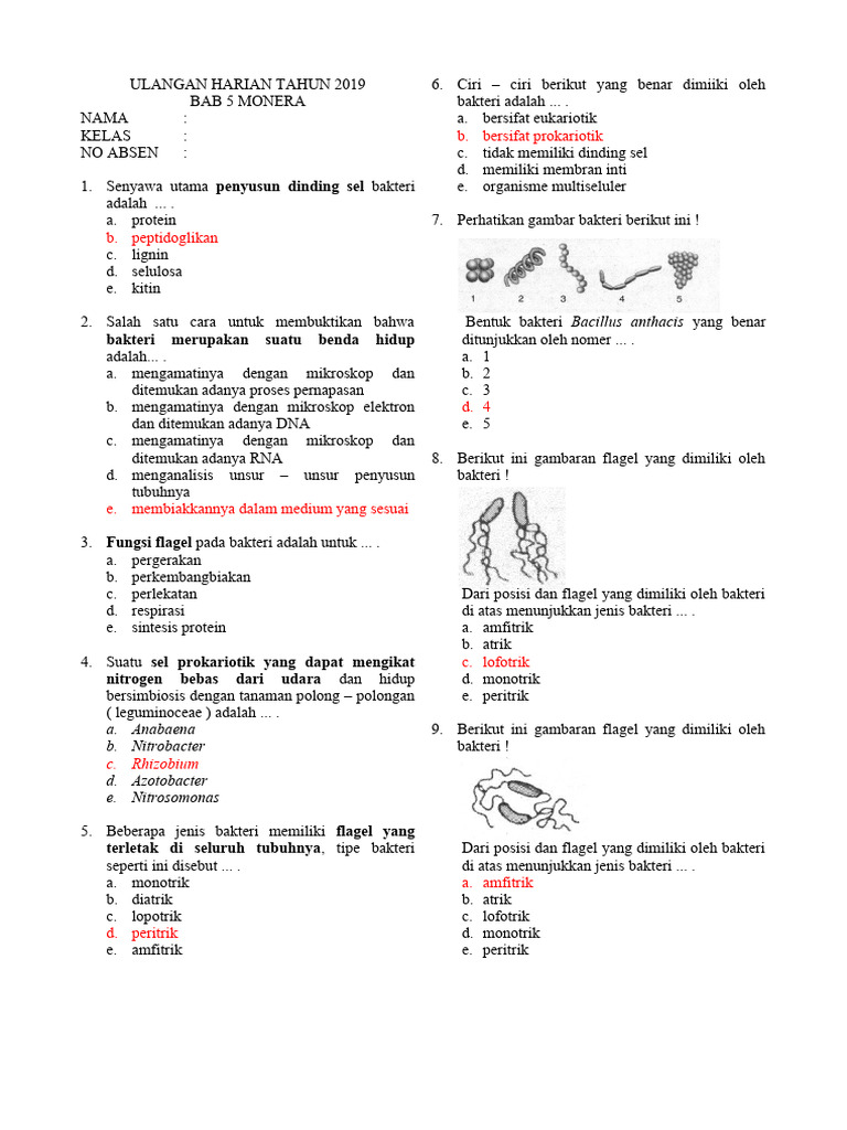 Soal Uh Bio X Bab 5 Monera 2021 | PDF