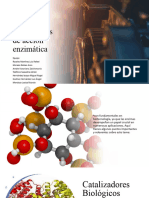 Los Mecanismos de Acción Enzimática