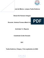 Actividad 1.3. Reporte - Castañeda Cerdio Gonzalo - E1A