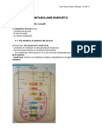 Sara Gómez Rojas - Metabolisme Energètic (Pàg 47-51)