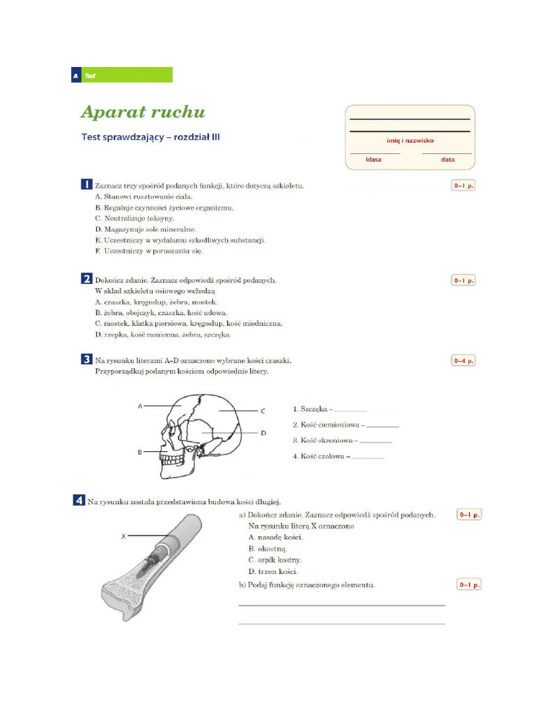 Aparat Ruchu Sprawdzian Kl 7 Biologia Aparat Ruchu | PDF
