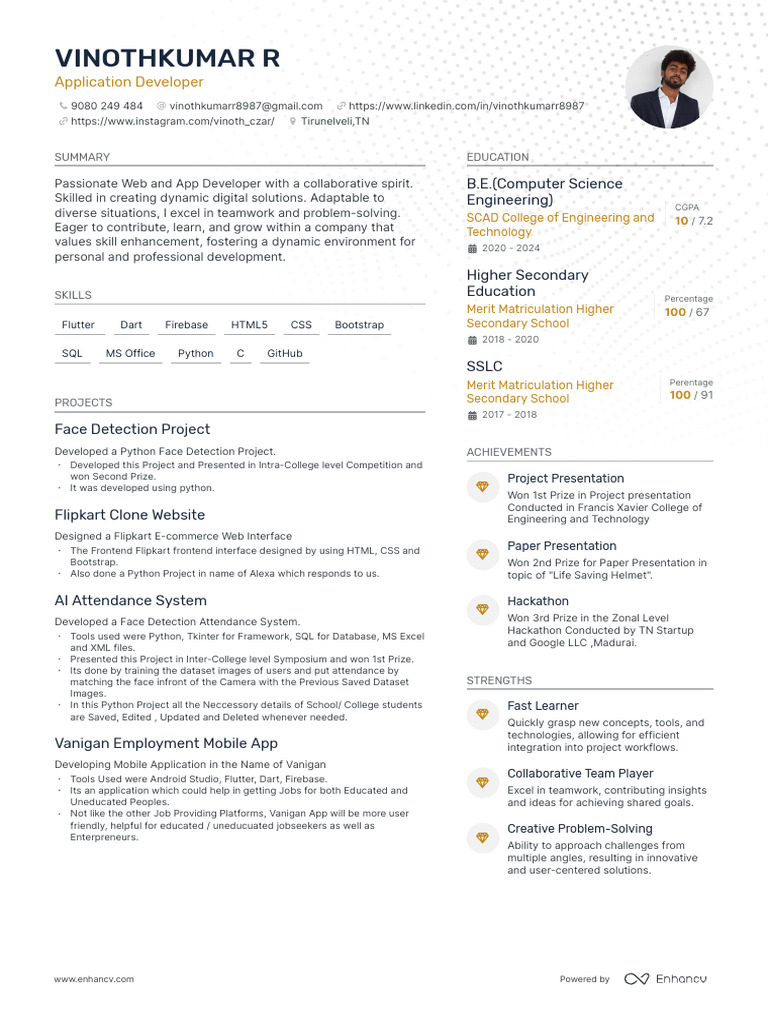 Web & App Developer Resume Summary | PDF | Mobile App | Computing