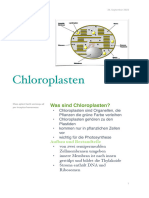 Chloroplasten