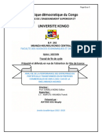 Analyse de La Performance Des Entreprises Du Portefeuille Transformées en Entreprises Commerciales. Cas de La SNEL