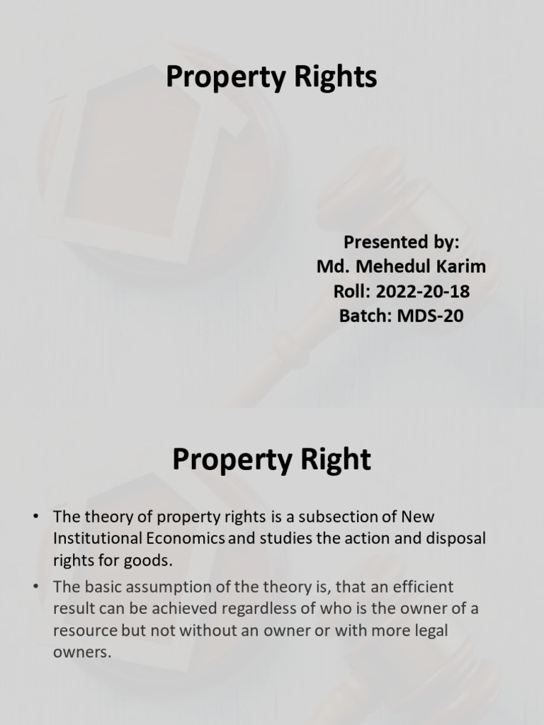 Property Rights PDF Economics Institution