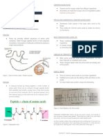 Proteins Transes