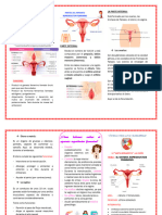 Triptico Aparato Reproductor