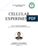 Experiment 1 - Osmosis