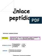 Enlace Peptidico