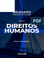Pdfs Customizados - Direitos Humanos 1