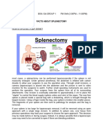 Facts About Splenectomy