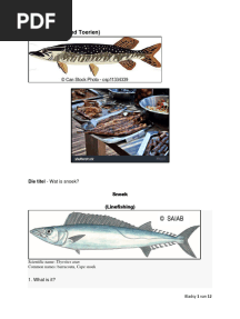 Snoek Sterrekyker Here Be Dragons - Werkkaart en Memo