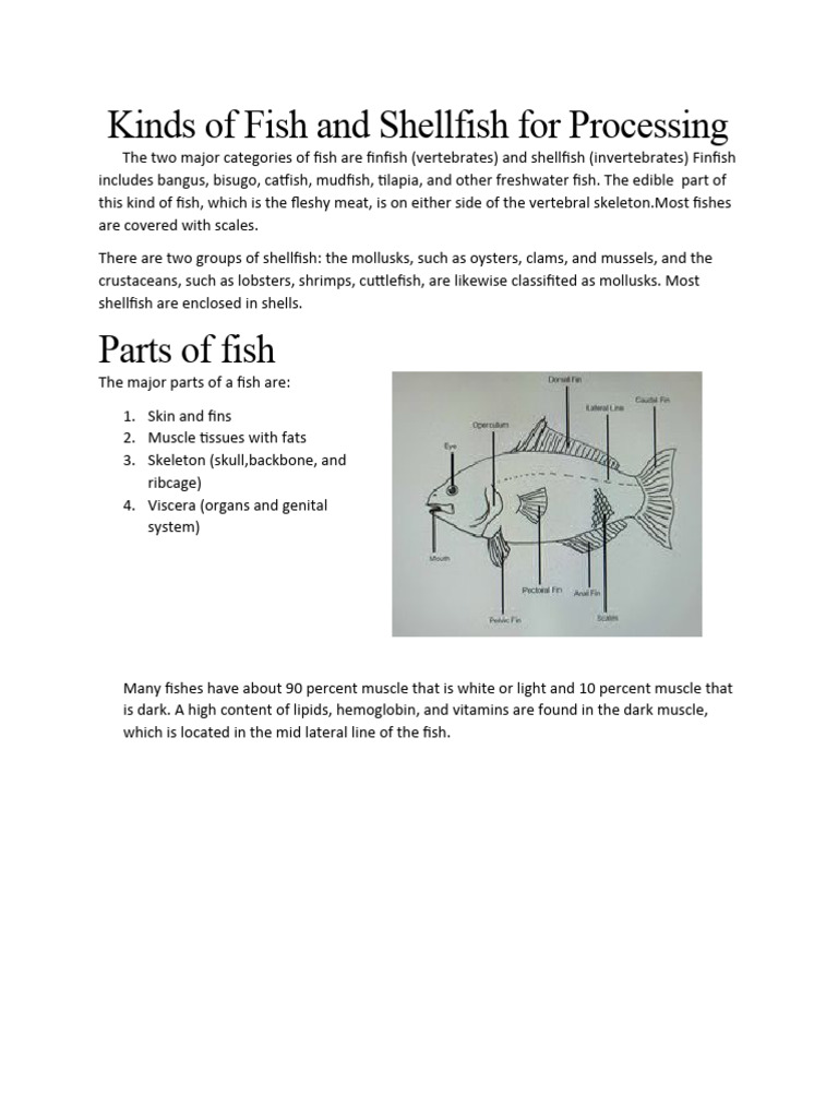 Kinds of Fish and Shellfish For Processing | PDF